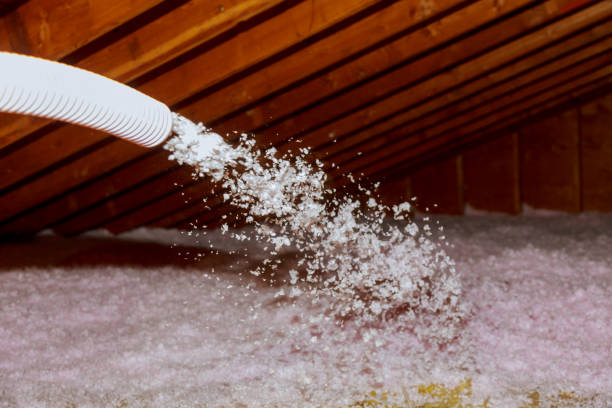 Best Residential Insulation in South Bound Brook, NJ